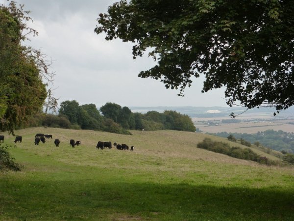 Ősz a Temze partján