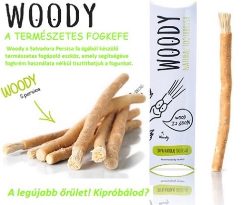 Ilyen a jövő fogkeféje!- teszt