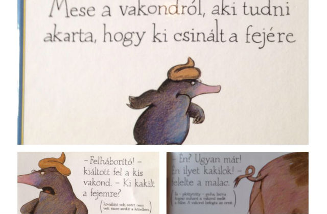 Sokkoló történettel állt elő Horváth Éva Sokkoló történettel állt elő Horváth Éva