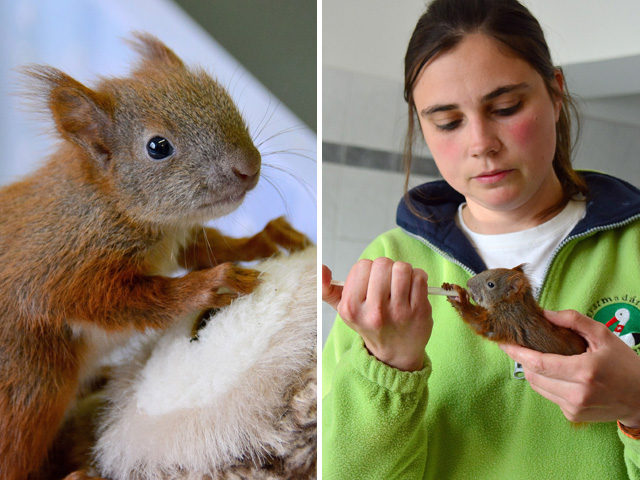 Fotók: Bagosi Zoltán