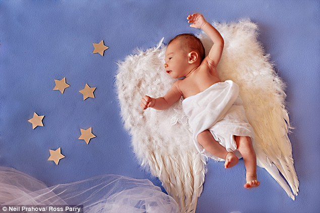 Néhány naposak, de már szupermodellek – tündéri fotók