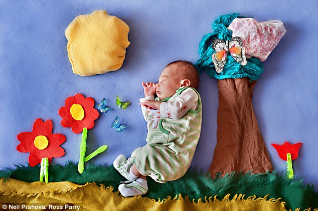 Néhány naposak, de már szupermodellek – tündéri fotók