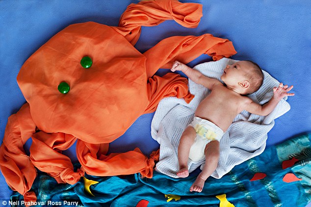 Néhány naposak, de már szupermodellek – tündéri fotók