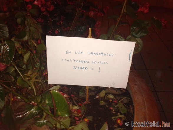 Beszólt a növény a tolvajnak - meglepő fotó