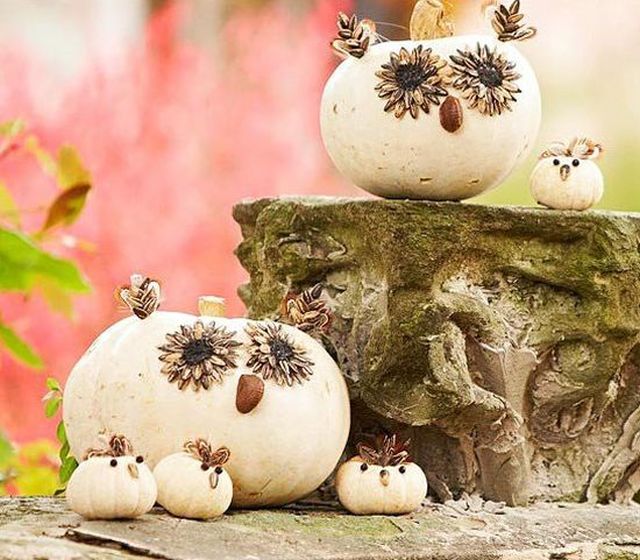 Tök jó, hogy van tök és még dekorálhatjuk is