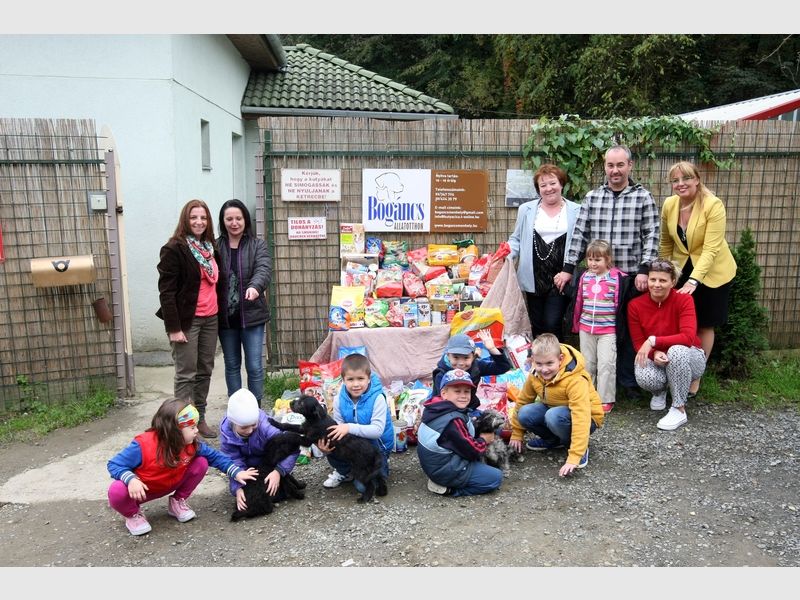Állatoknak gyűjtöttek az ovisok