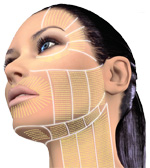 Gallusz Nikolett és Meryl Streep is a természetes, műtét nélküli szépülésben hisz