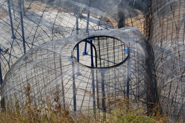 Így épül a ház, aminek a tetején kertészkedhetsz