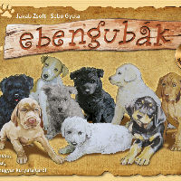 12 új könyv, amit érdemes elolvasni 12 új könyv, amit érdemes elolvasni