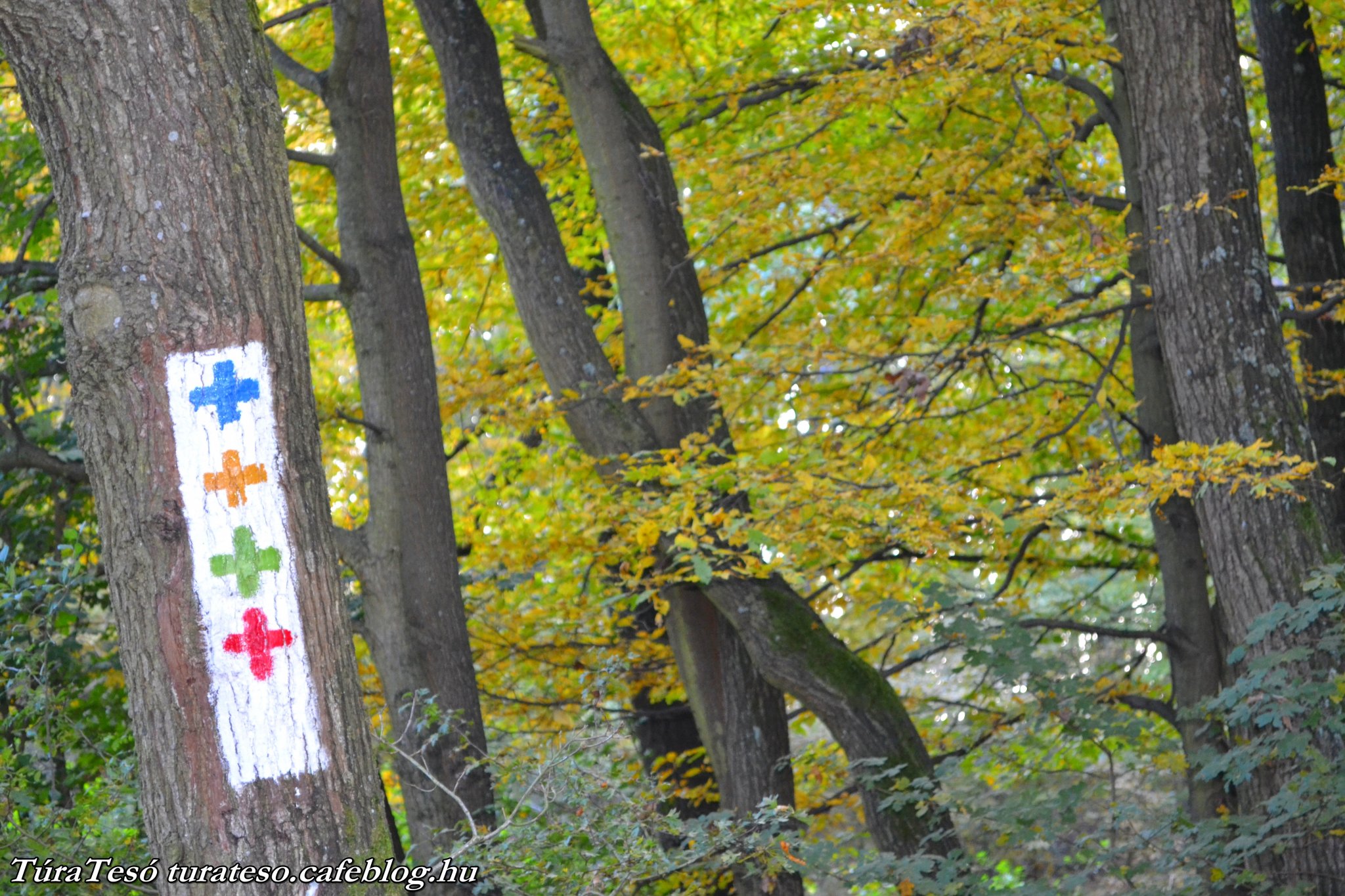 Kirándulj Nagyírtáspusztára!