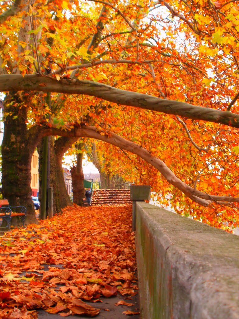 A legjobb dolgok, amiket ősszel csinálhatsz!