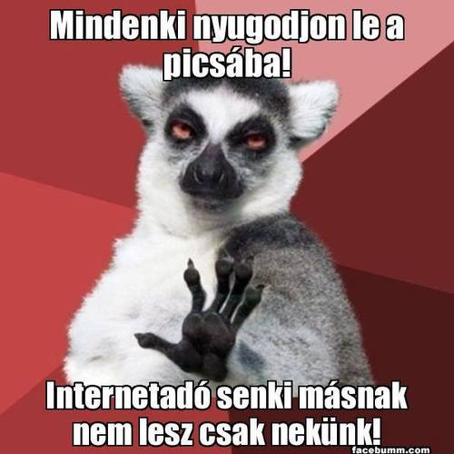 hofstatterbela.tumblr.com