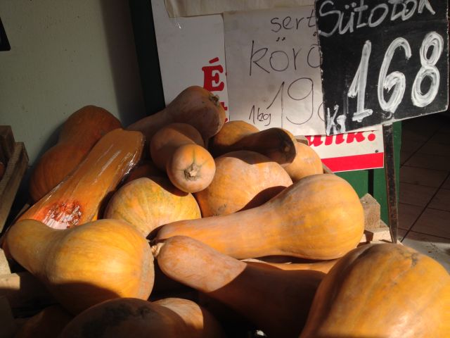 Sütőtököt, de milyet?