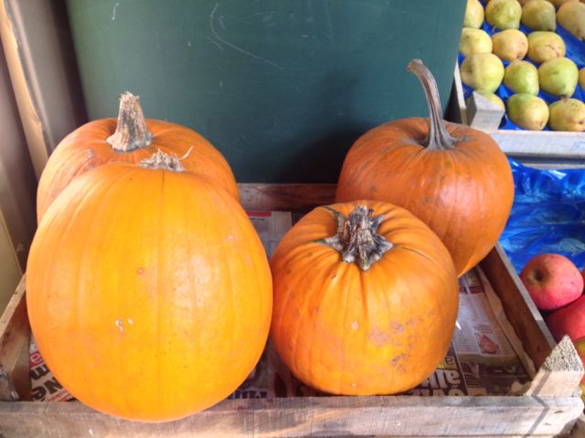 Sütőtököt, de milyet?