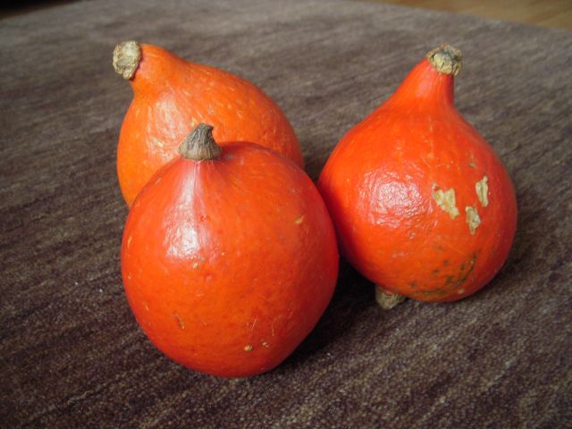 Sütőtököt, de milyet?