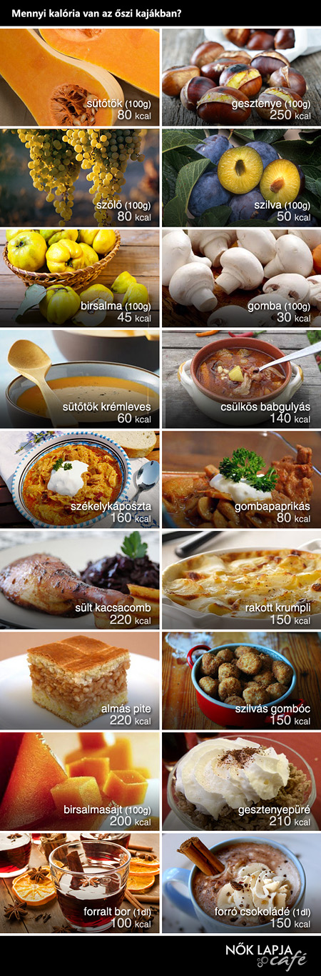 Mennyi kalória van az őszi kajákban?