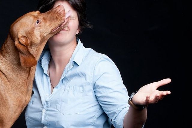 11 kép Deményről, a celebkutyáról 11 kép Deményről, a celebkutyáról