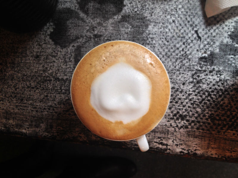 Hogyan lesz a tejhabból integető kismacska? Hogyan lesz a tejhabból integető kismacska?