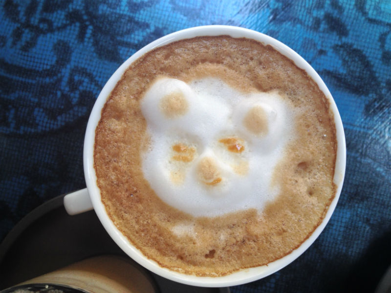 Hogyan lesz a tejhabból integető kismacska? Hogyan lesz a tejhabból integető kismacska?