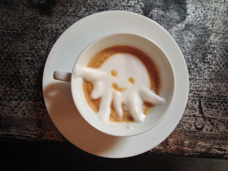 Hogyan lesz a tejhabból integető kismacska? Hogyan lesz a tejhabból integető kismacska?