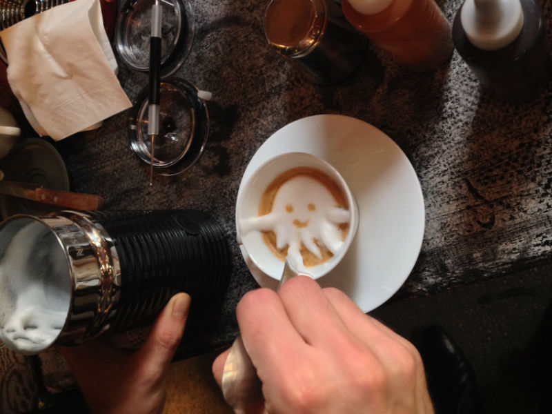 Hogyan lesz a tejhabból integető kismacska? Hogyan lesz a tejhabból integető kismacska?