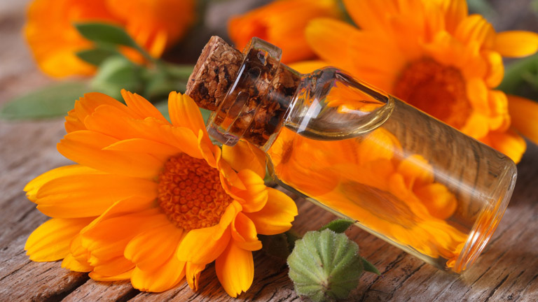 A természet gyógyító ereje, amire a bőrödnek szüksége van!