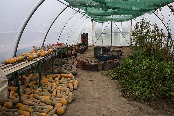 Így működik egy családi biogazdaság