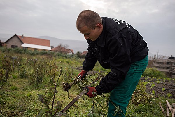 Így működik egy családi biogazdaság