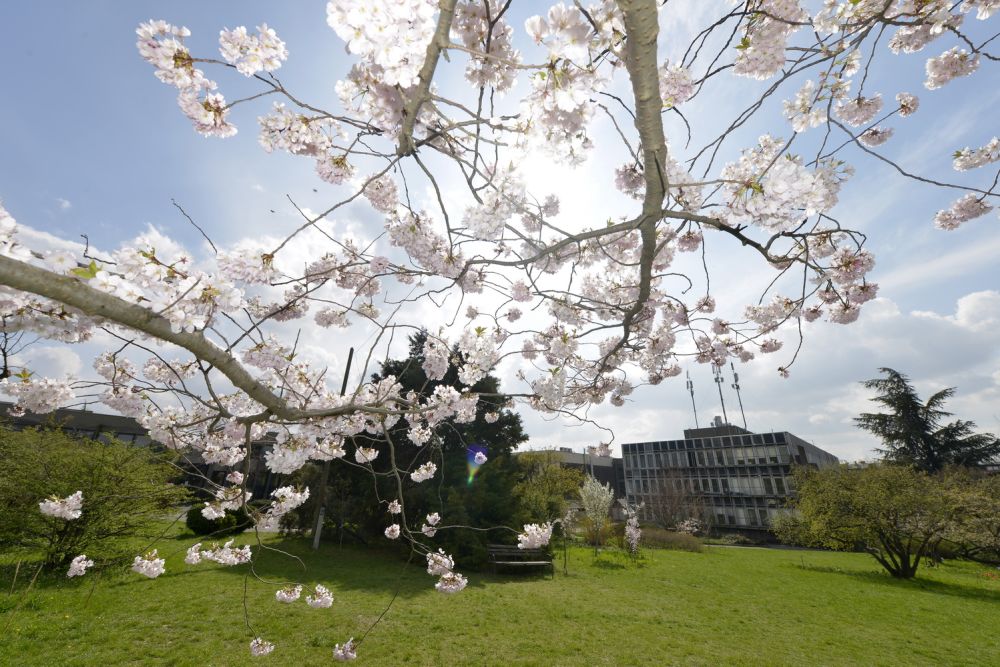 Boldog Születésnapot Budapest! Boldog Születésnapot Budapest!