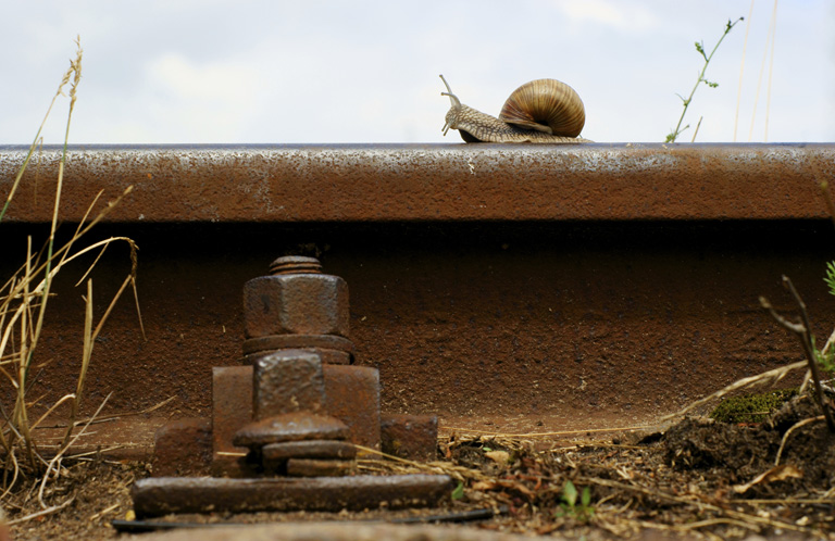 Így keseríti meg az életünket a tömegközlekedés Így keseríti meg az életünket a tömegközlekedés