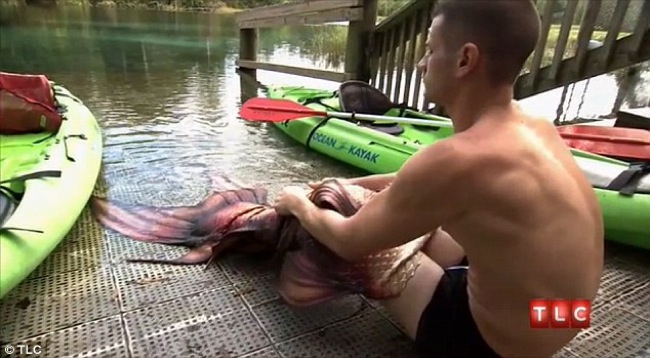 Itt az első férfi sellő