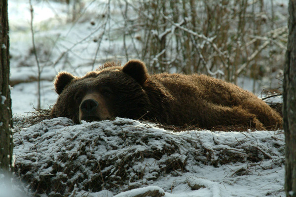 20 dolog, amit a fázós ember másképp tesz télen