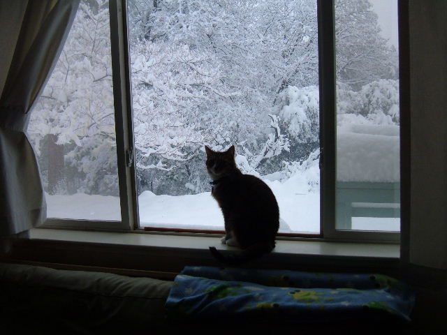 A fázós ember 16 téli gondolata