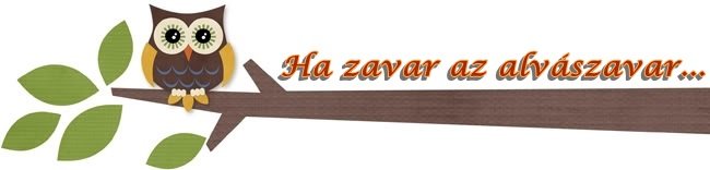 Alvástréning a Cafeblogon