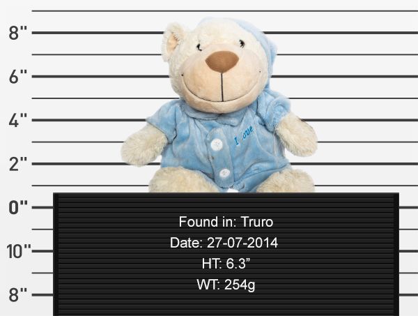 Börtönfotókkal keresik a talált plüssállatok tulajdonosait