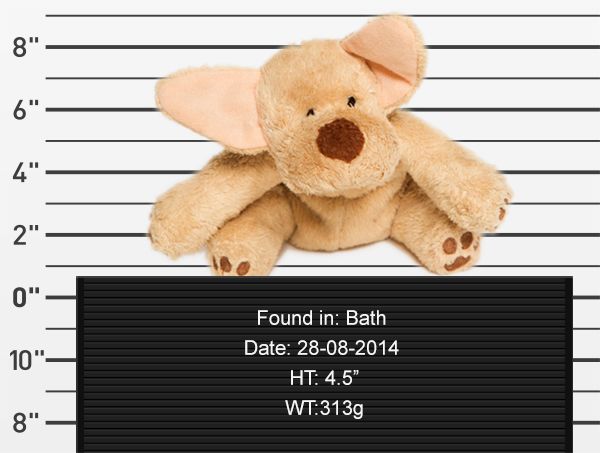 Börtönfotókkal keresik a talált plüssállatok tulajdonosait