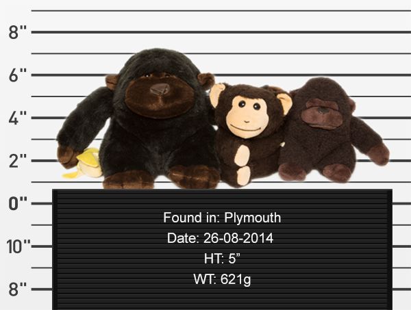 Börtönfotókkal keresik a talált plüssállatok tulajdonosait