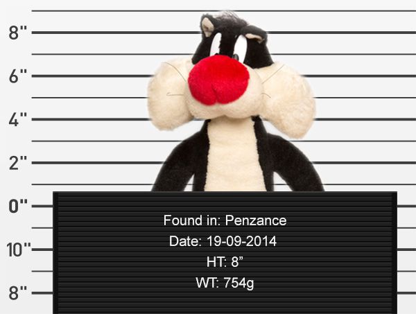 Börtönfotókkal keresik a talált plüssállatok tulajdonosait