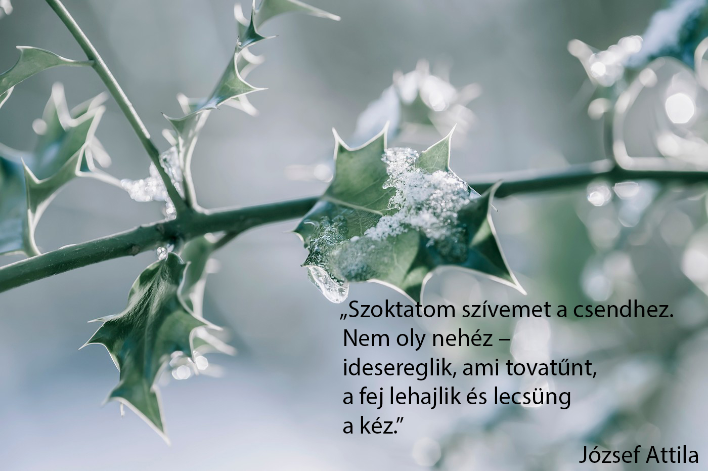 Karácsonyi lélektuning – december 16.