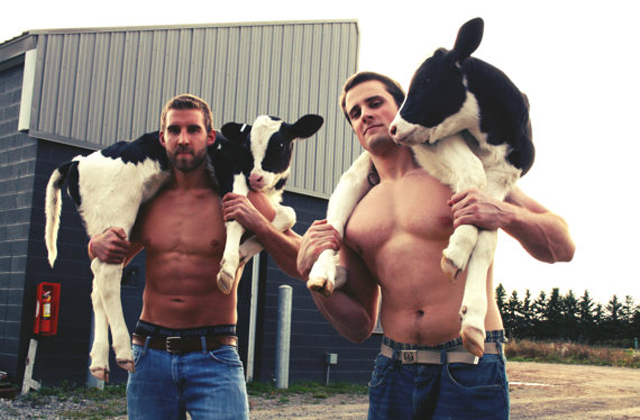 Az állatokért vetkőztek a leendő állatorvosok - fotók