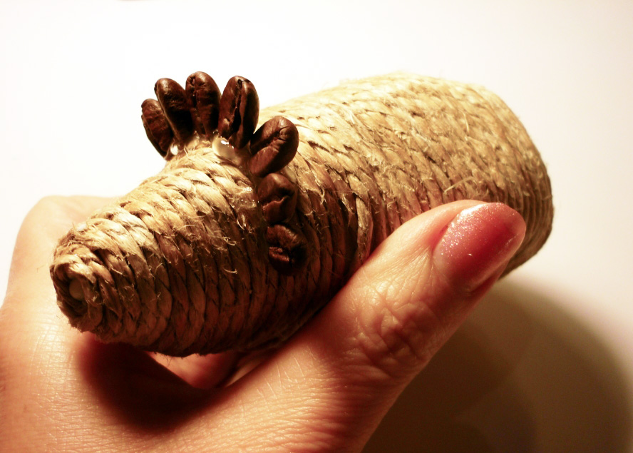 Csináld magad: cuki süni kávészemekből