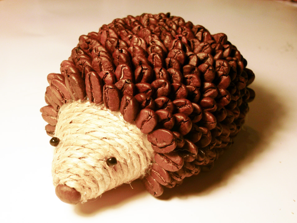 Csináld magad: cuki süni kávészemekből