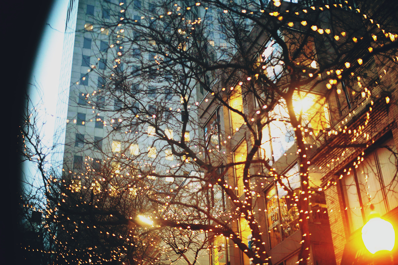 Ezektől a képektől megjön a kedved a karácsonyhoz! 