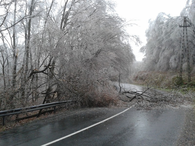 Fotó: Pilisi Parkerdő Zrt.