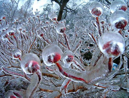 Így néz ki, amikor átveszi az uralmat a jég Így néz ki, amikor átveszi az uralmat a jég