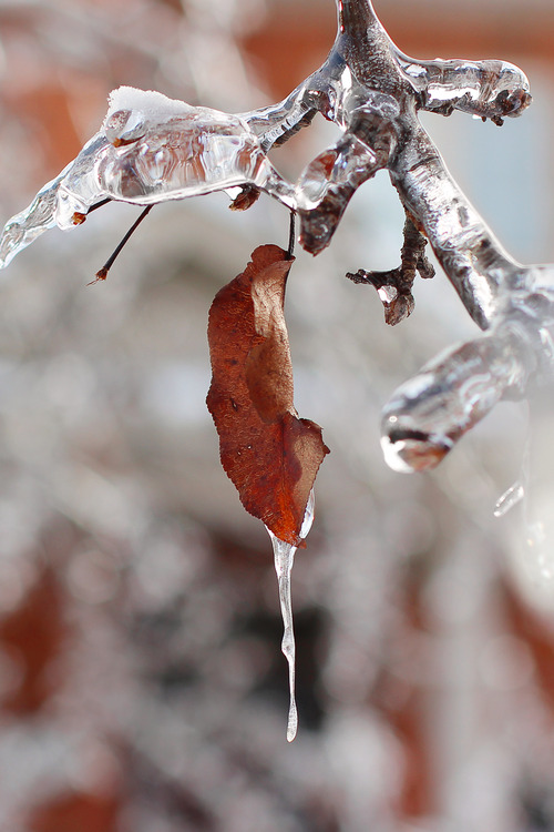 Így néz ki, amikor átveszi az uralmat a jég Így néz ki, amikor átveszi az uralmat a jég