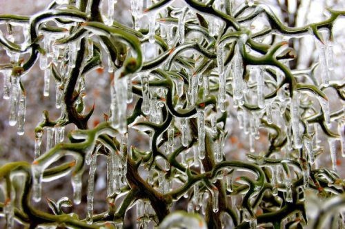 Így néz ki, amikor átveszi az uralmat a jég Így néz ki, amikor átveszi az uralmat a jég