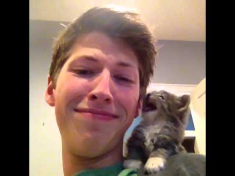 Cuki videó a kiscicáról, aki még csak tanulja a nyávogást