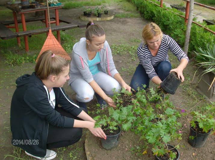 A diákok tették zöldebbé az iskolaudvarokat