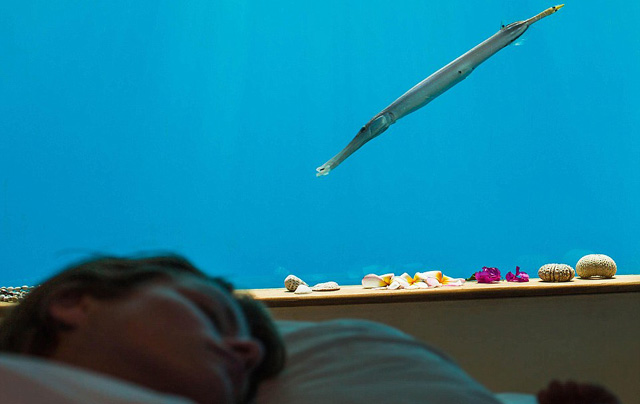 Íme, a világ első víz alatti hotelszobája - fotók